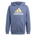 ADIDAS U BL 2 HOODIE PRLOIN/SEMSPA/WHITE Bild 1