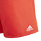 ADIDAS YB BOS SHORTS BRIRED/WHITE Bild 5