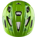 ALPINA XIMO FLASH GREEN DINO GLOSS Bild 2