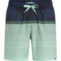 FIREFLY He.-Badeshorts Lucio M Flowline GREEN LIGHT Bild 1
