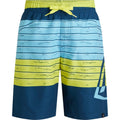 FIREFLY Ju.-Badeshorts Kevin B GREEN LIME Bild 1