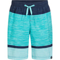 FIREFLY Ju.-Badeshorts Lario B Melange Stripe MINT DARK Bild 1