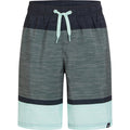 FIREFLY Ju.-Badeshorts Lario B Melange Stripe GREEN DARK Bild 1