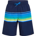 FIREFLY Ju.-Badeshorts Mario B NAVY DARK/BLUE ROYAL Bild 1