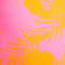 FIREFLY Mä.-Badeanzug Sinna G Bi-Flow AOP/PINK Bild 2