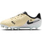 NIKE JR LEGEND 10 ACADEMY FG/MG BLACK/CHROME-HYPER ROYAL Bild 12