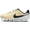NIKE JR LEGEND 10 ACADEMY FG/MG BLACK/CHROME-HYPER ROYAL Bild 13