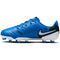 NIKE JR LEGEND 10 CLUB FG/MG SIGNAL BLUE/WHITE Bild 8