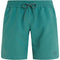 PROTEST PRTHAUPUKA beachshort LAURELGREEN Bild 1