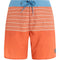 PROTEST PRTLOHNI beachshort CLAY Bild 1