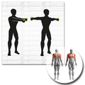 SCHILDKRÖT FITNESS SK Fitness SOFT HANTEL Set, 2x 1,0k KEINE FARBE Bild 6