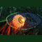 TALBOT/TORRO BADM.-SET MAGIC NIGHT LED IM THERMO KEINE FARBE Bild 10