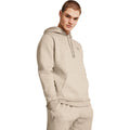 UNDER ARMOUR UA ICON FLEECE HOODIE TIMBERWOLF TAUPE LIGHT HTHR Bild 3