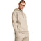 UNDER ARMOUR UA ICON FLEECE HOODIE TIMBERWOLF TAUPE LIGHT HTHR Bild 3