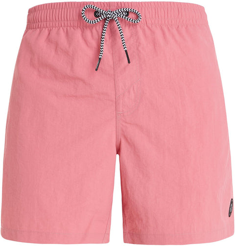 PROTEST FASTER beachshort