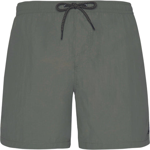 PROTEST FASTER beachshort