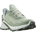 SALOMON SHOES ALPHACROSS 4 GTX W Desert/Wht