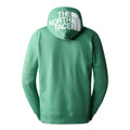 THE NORTH FACE M SEASONAL DREW PEAK PULLOVER